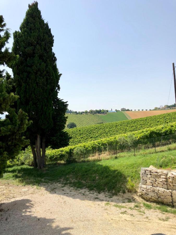 B&B Santa Caterina Acquaviva Picena Εξωτερικό φωτογραφία
