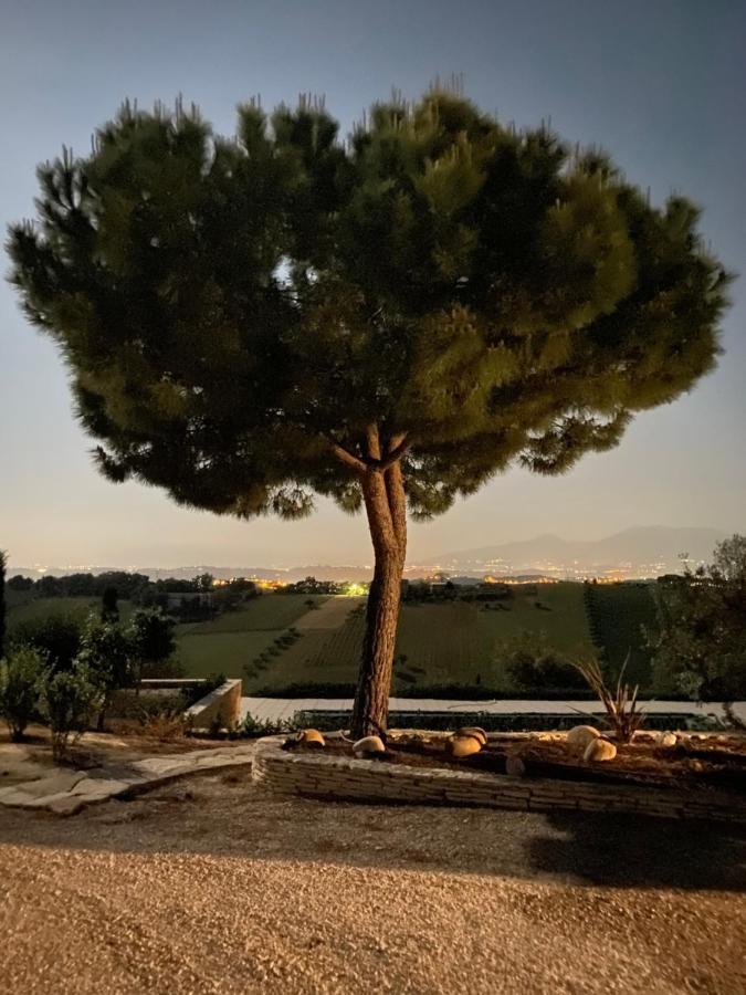 B&B Santa Caterina Acquaviva Picena Εξωτερικό φωτογραφία
