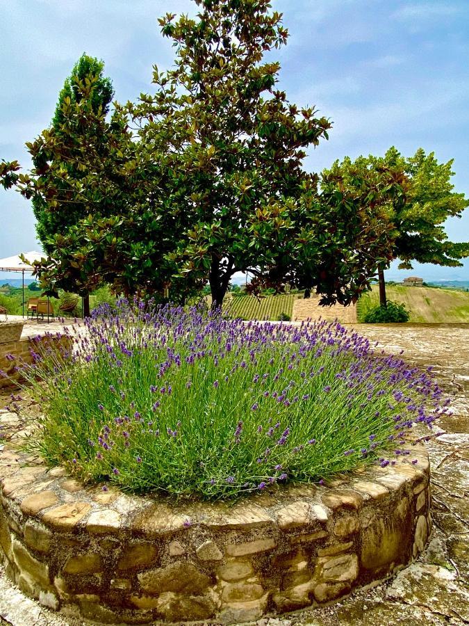 B&B Santa Caterina Acquaviva Picena Εξωτερικό φωτογραφία