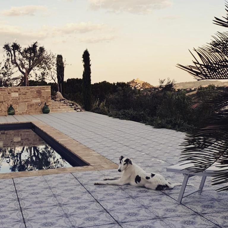 B&B Santa Caterina Acquaviva Picena Εξωτερικό φωτογραφία